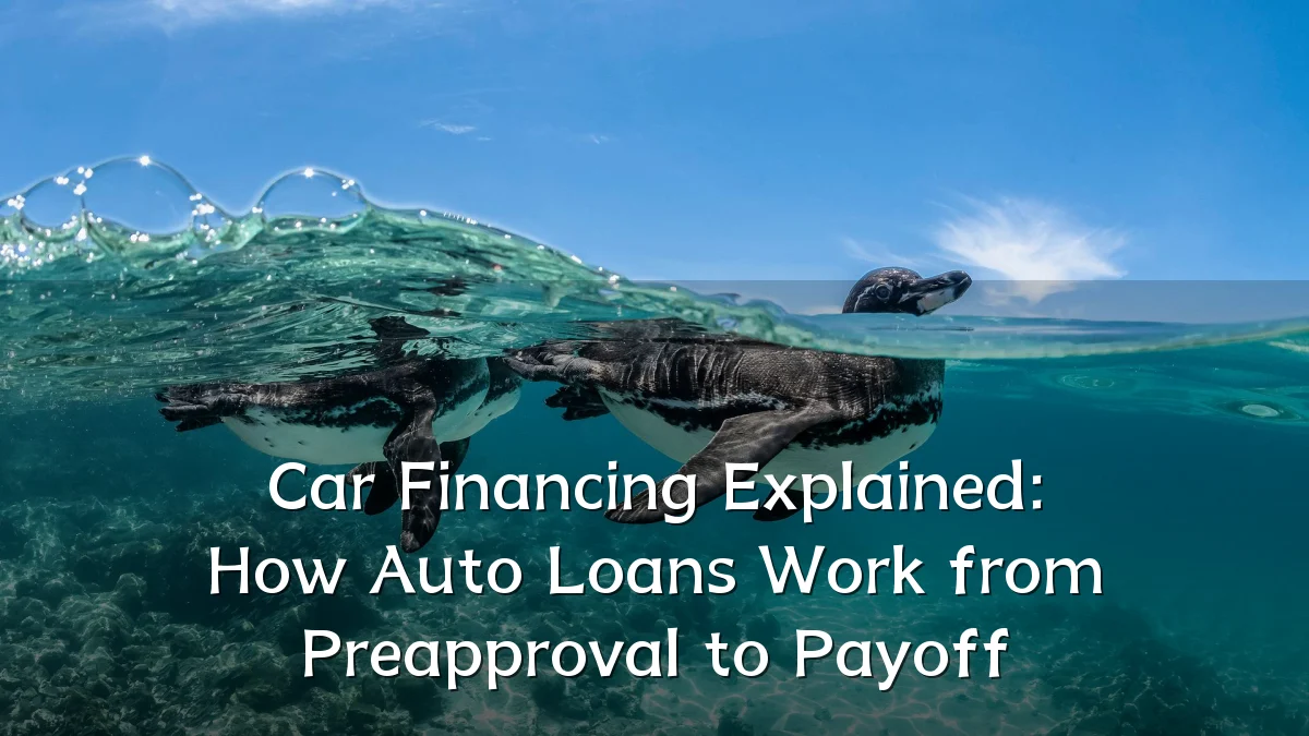 Car Financing Explained: How Auto Loans Work from Preapproval to Payoff