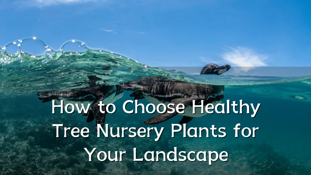 How to Choose Healthy Tree Nursery Plants for Your Landscape