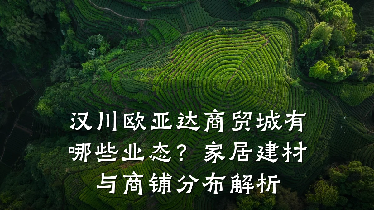 汉川欧亚达商贸城有哪些业态?家居建材与商铺分布解析