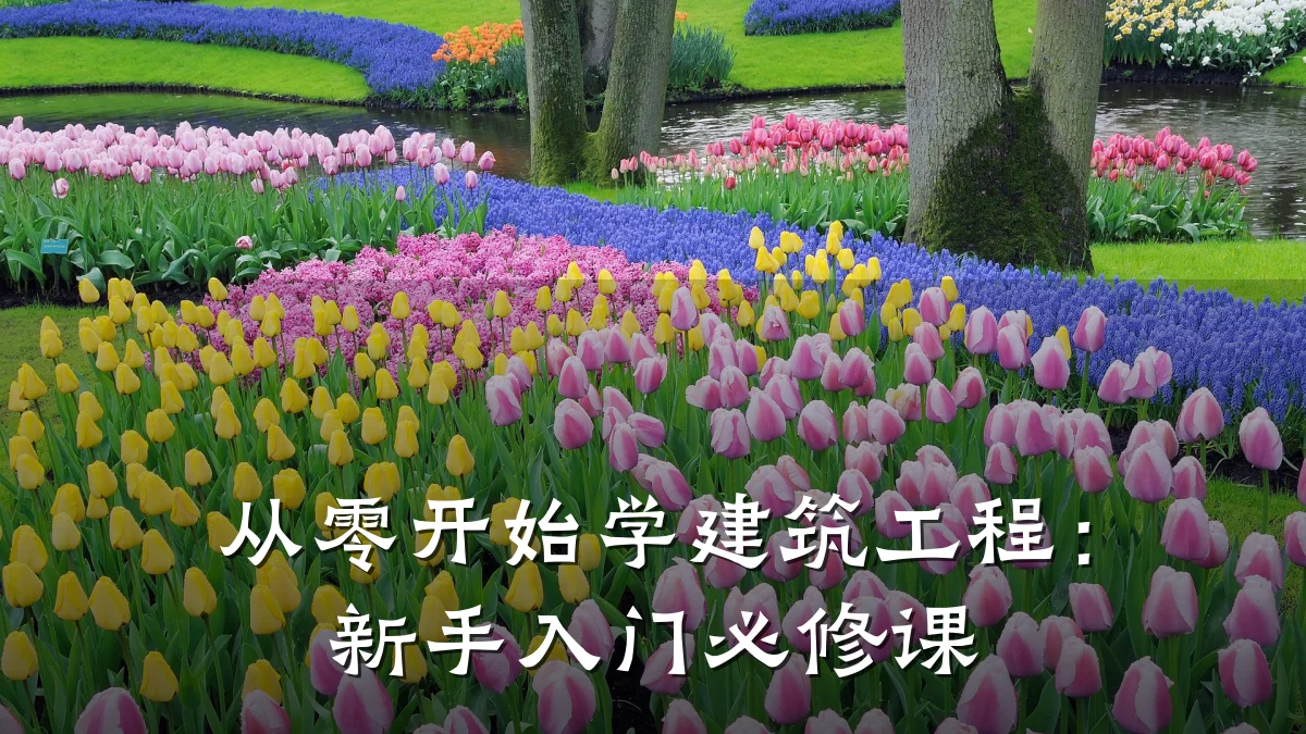 从零开始学建筑工程：新手入门必修课