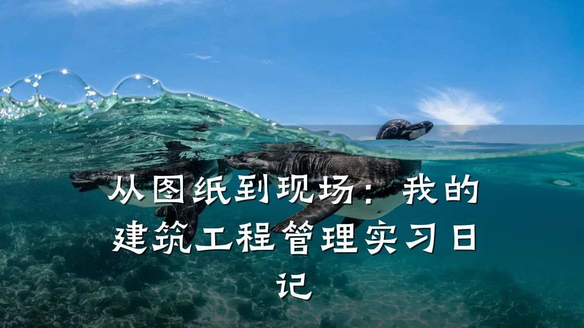 从图纸到现场：我的建筑工程管理实习日记