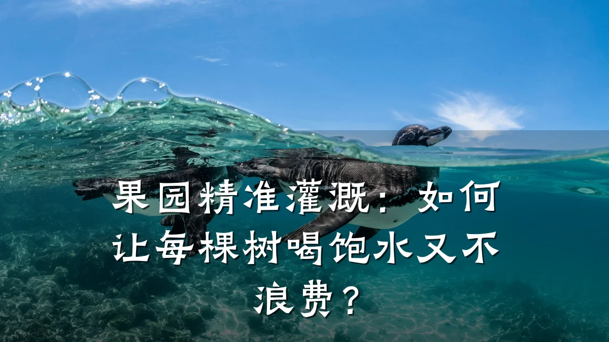 果园精准灌溉:如何让每棵树喝饱水又不浪费?