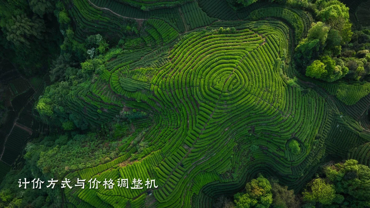 计价方式与价格调整机