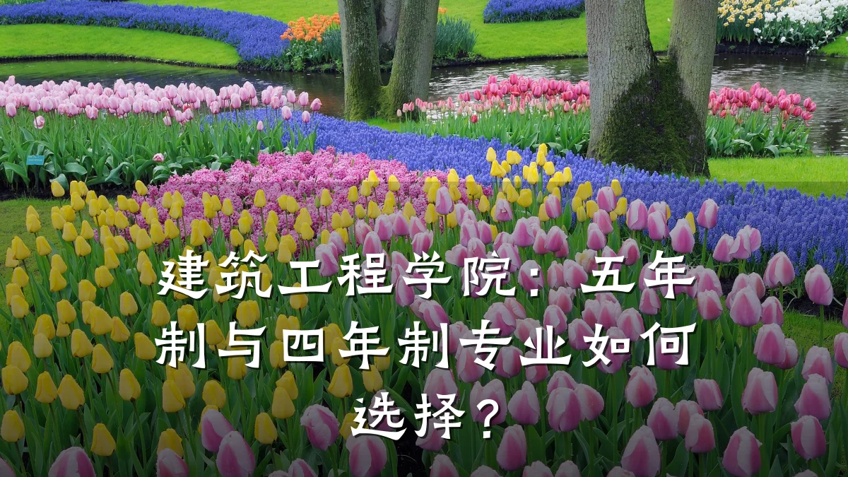 建筑工程学院：五年制与四年制专业如何选择？