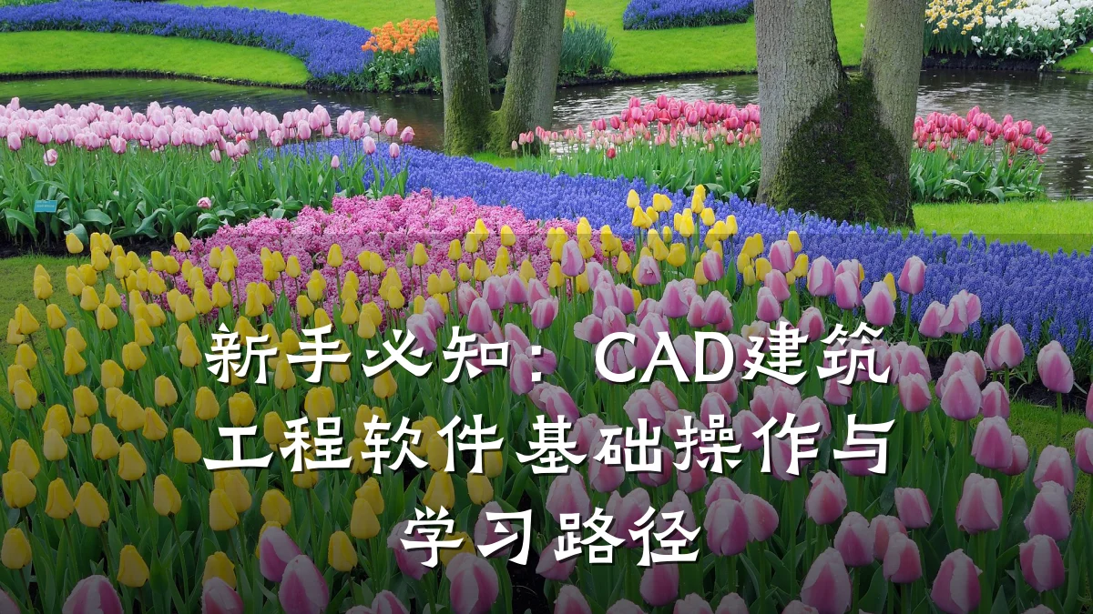 新手必知：CAD建筑工程软件基础操作与学习路径