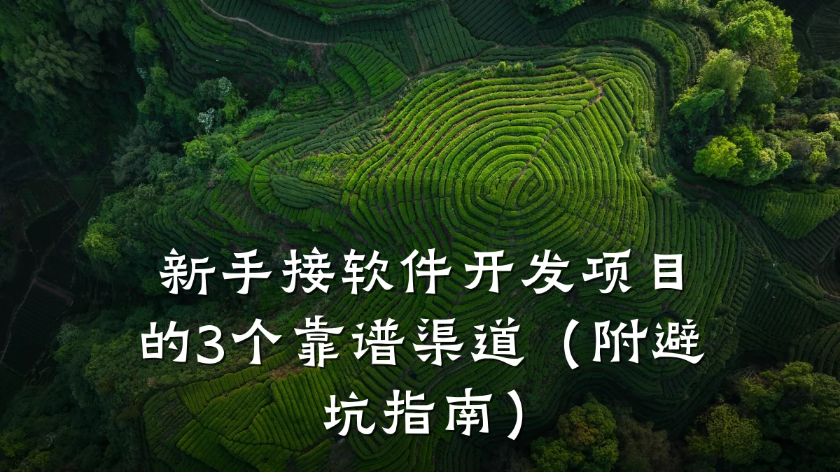 新手接软件开发项目的3个靠谱渠道(附避坑指南)