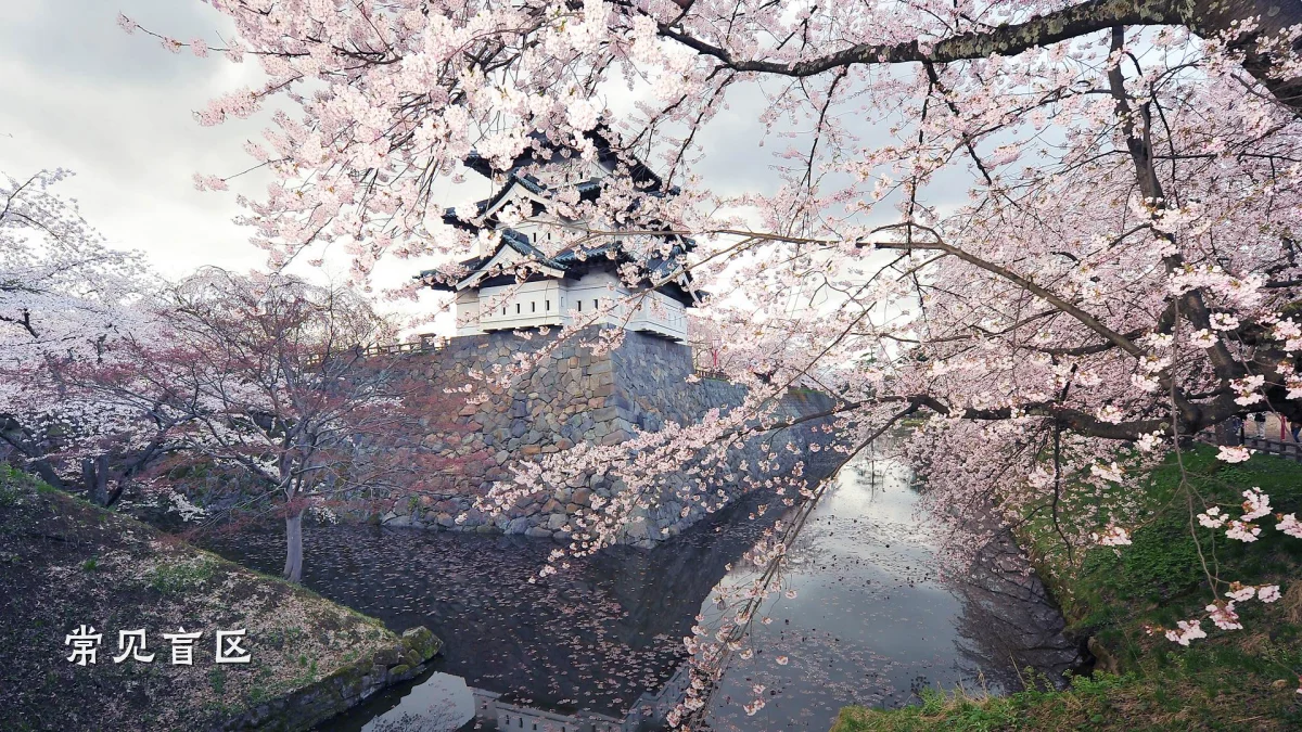 常见盲区