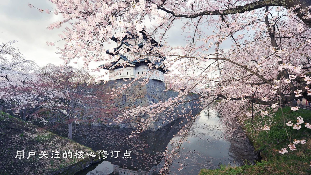 用户关注的核心修订点