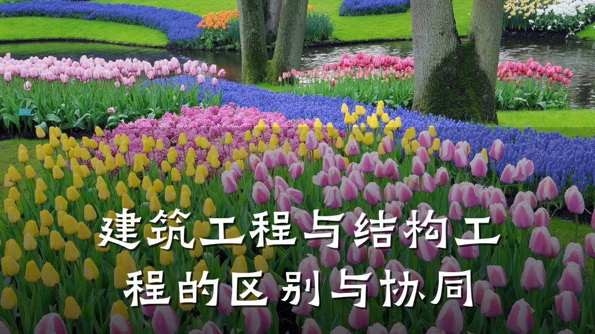 建筑工程与结构工程的区别与协同