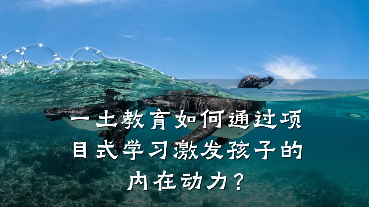 一土教育如何通过项目式学习激发孩子的内在动力？