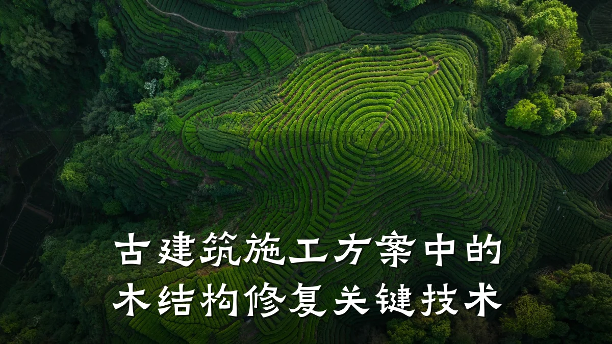 古建筑施工方案中的木结构修复关键技术
