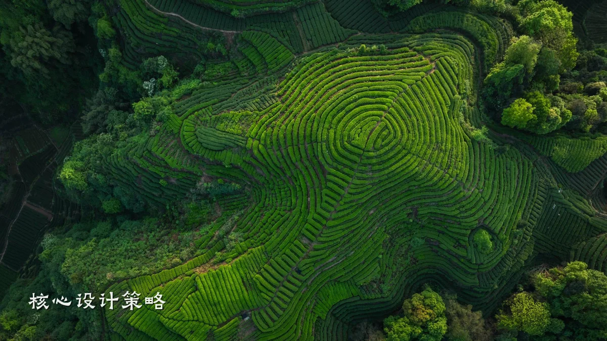 核心设计策略