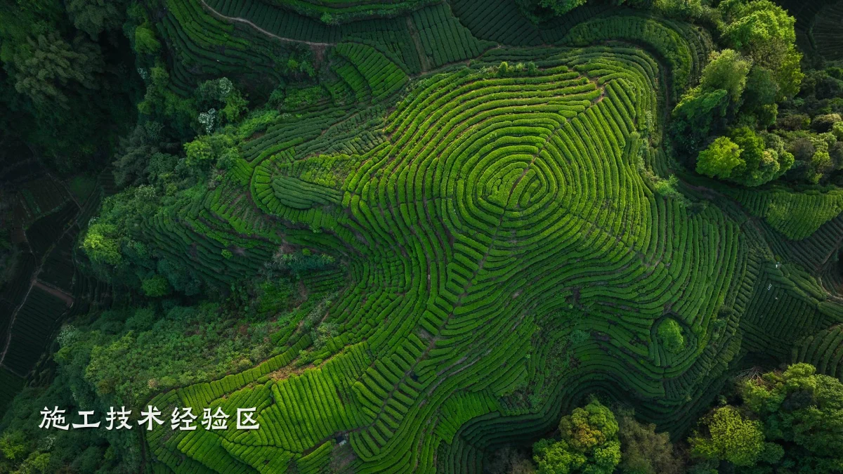 施工技术经验区
