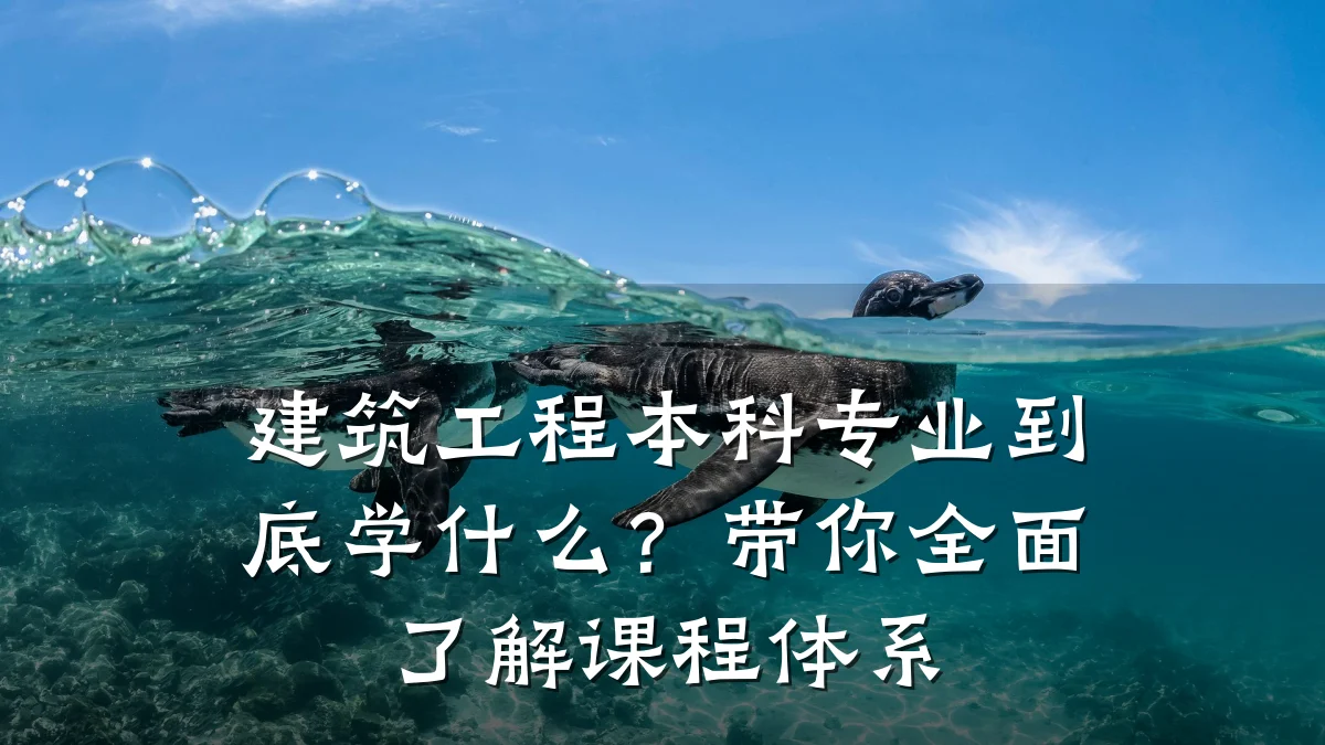 建筑工程本科专业到底学什么?带你全面了解课程体系