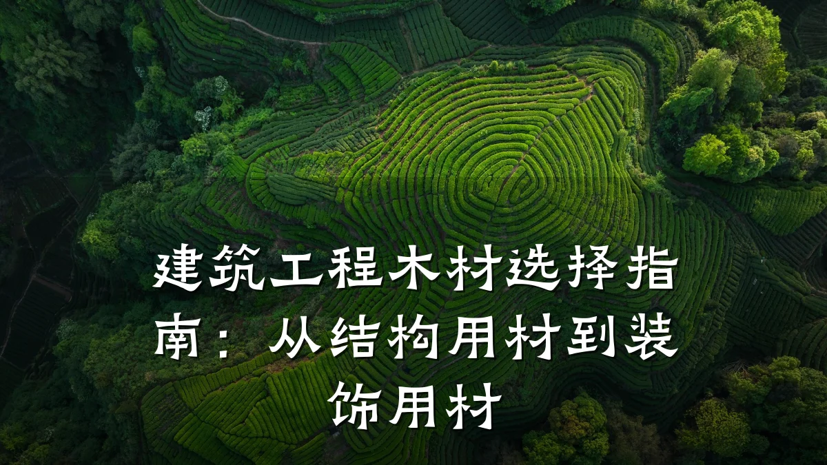 建筑工程木材选择指南：从结构用材到装饰用材