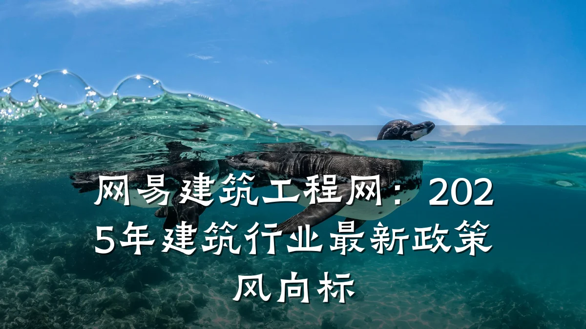 网易建筑工程网：2025年建筑行业最新政策风向标