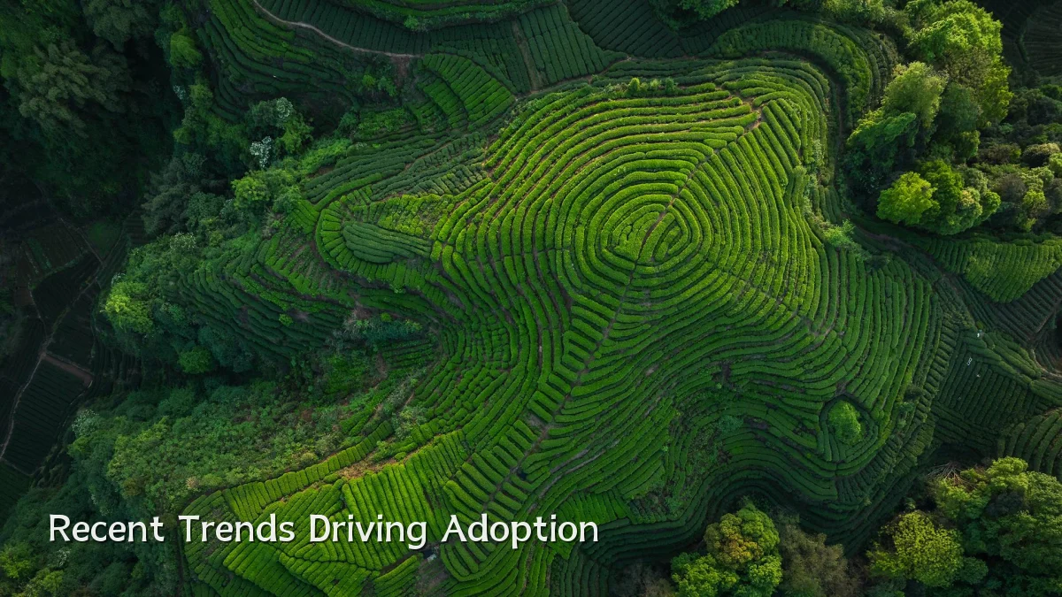 Recent Trends Driving Adoption