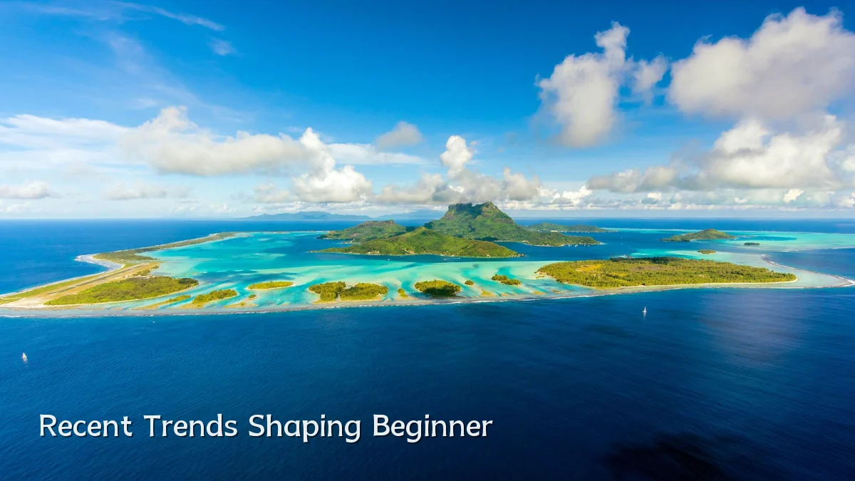 Recent Trends Shaping Beginner