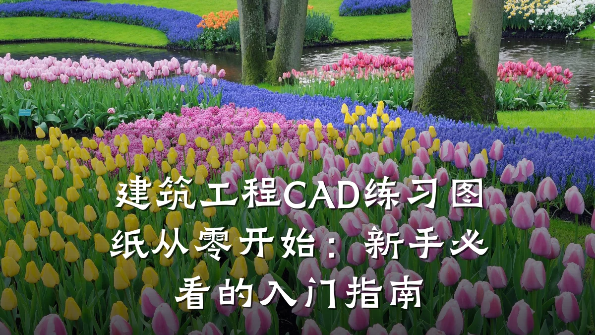 建筑工程CAD练习图纸从零开始：新手必看的入门指南