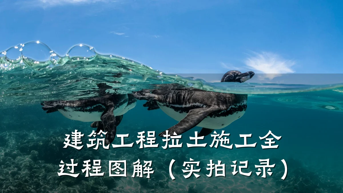 建筑工程拉土施工全过程图解（实拍记录）