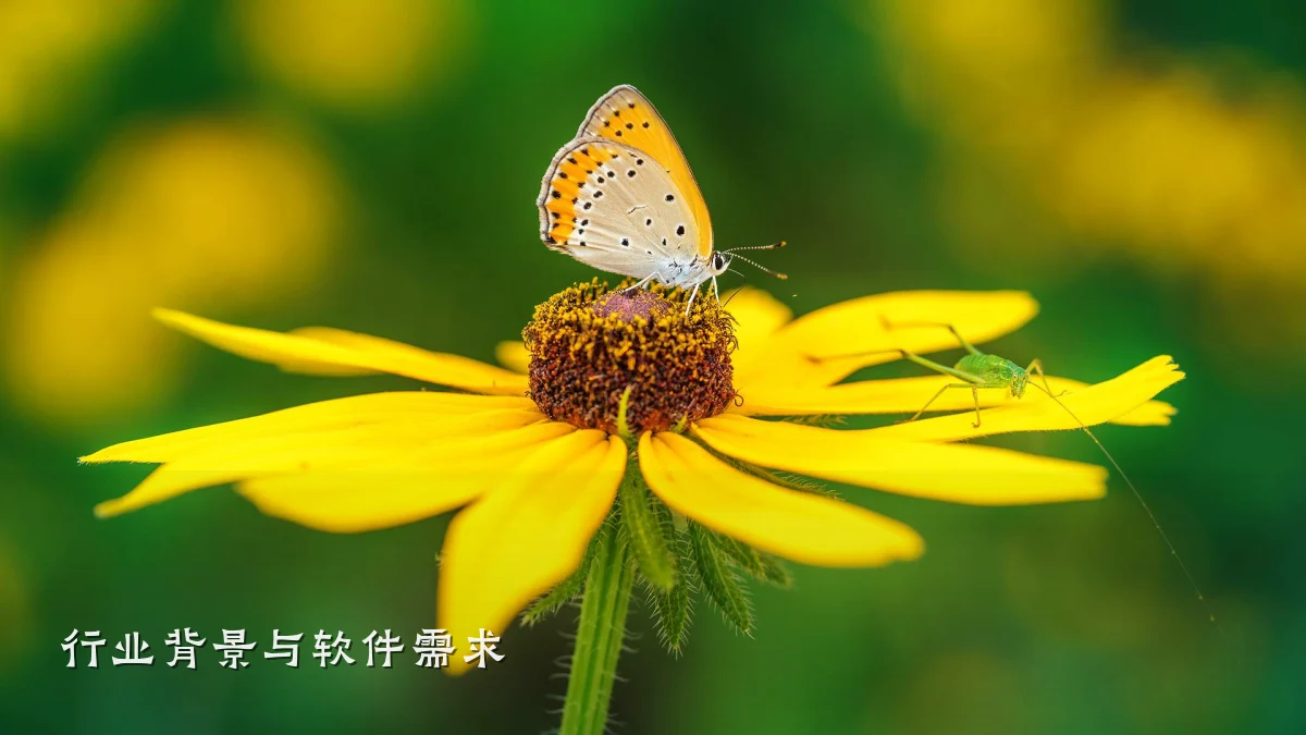 行业背景与软件需求