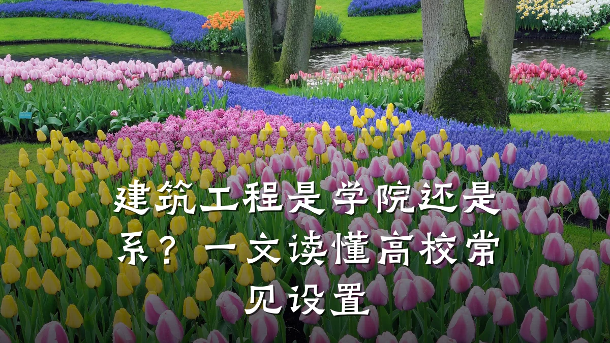 建筑工程是学院还是系？一文读懂高校常见设置