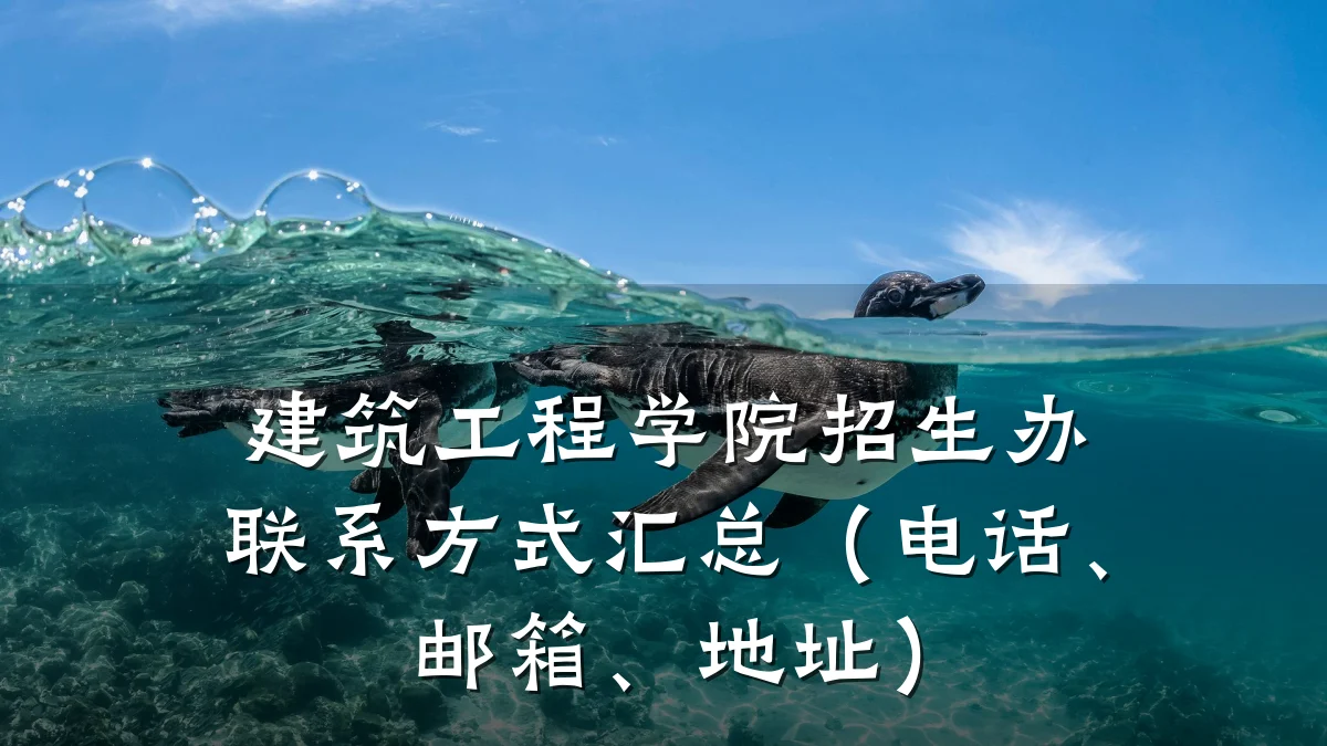 建筑工程学院招生办联系方式汇总（电话、邮箱、地址）