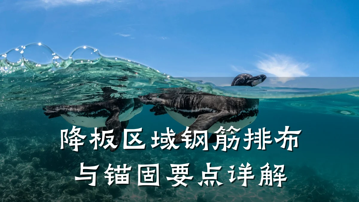 降板区域钢筋排布与锚固要点详解