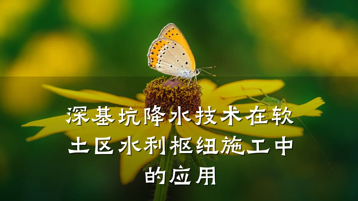 深基坑降水技术在软土区水利枢纽施工中的应用