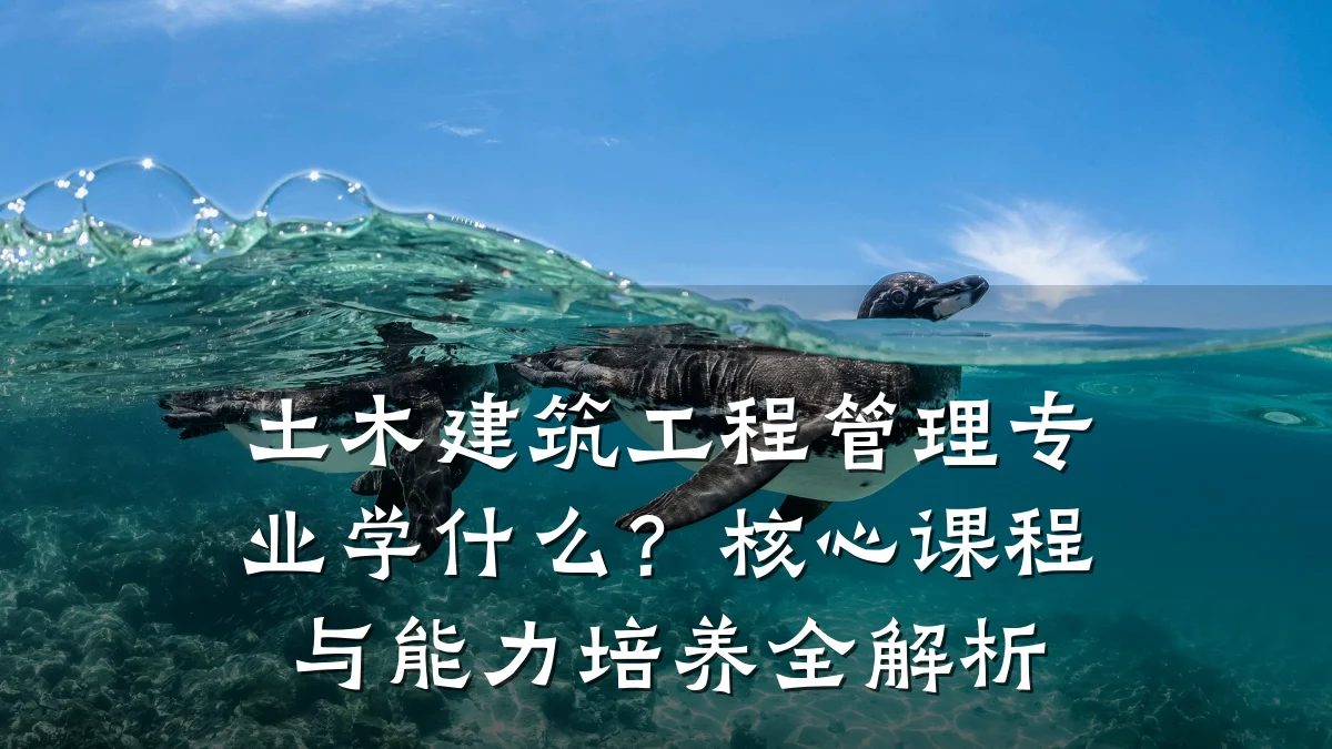 土木建筑工程管理专业学什么？核心课程与能力培养全解析