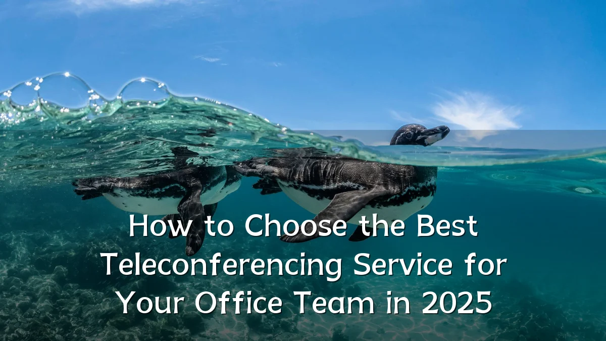How to Choose the Best Teleconferencing Service for Your Office Team in 2025