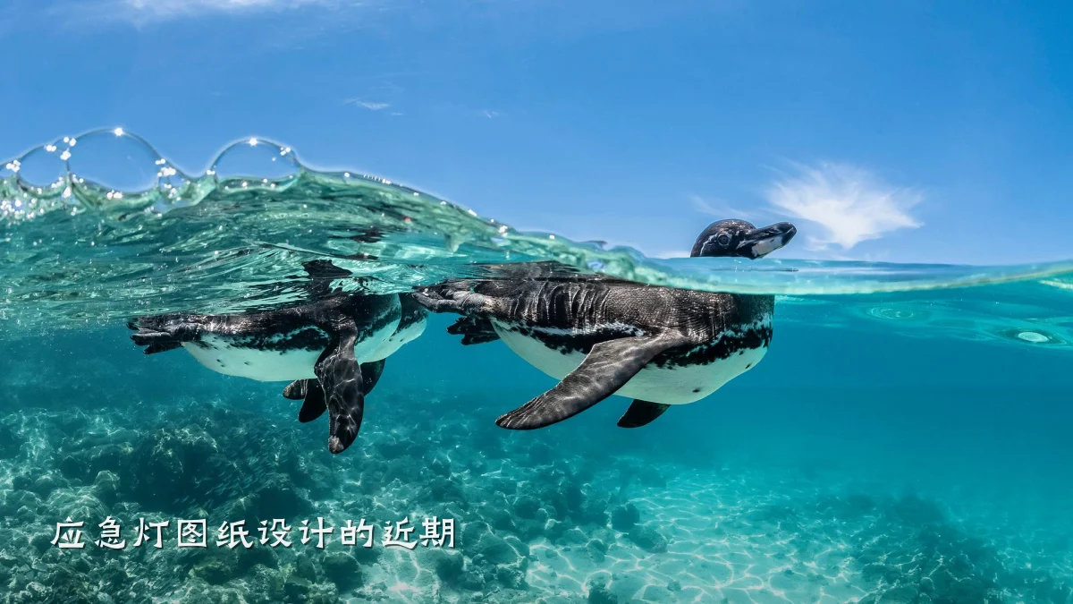 应急灯图纸设计的近期