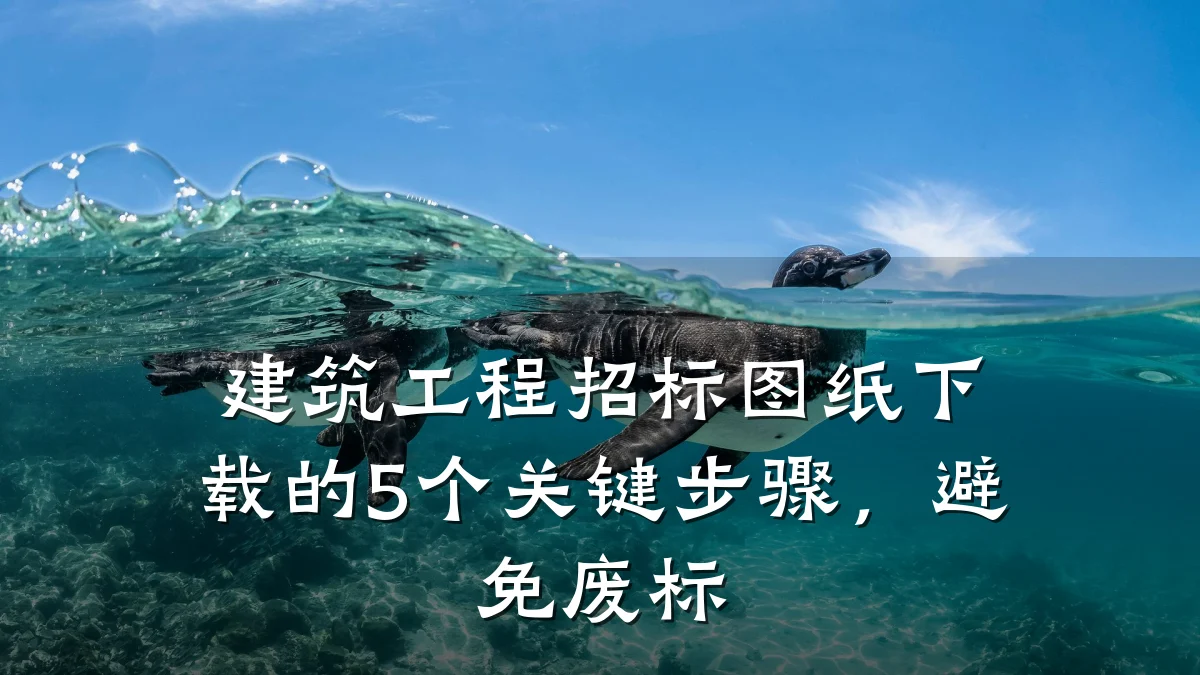 建筑工程招标图纸下载的5个关键步骤，避免废标
