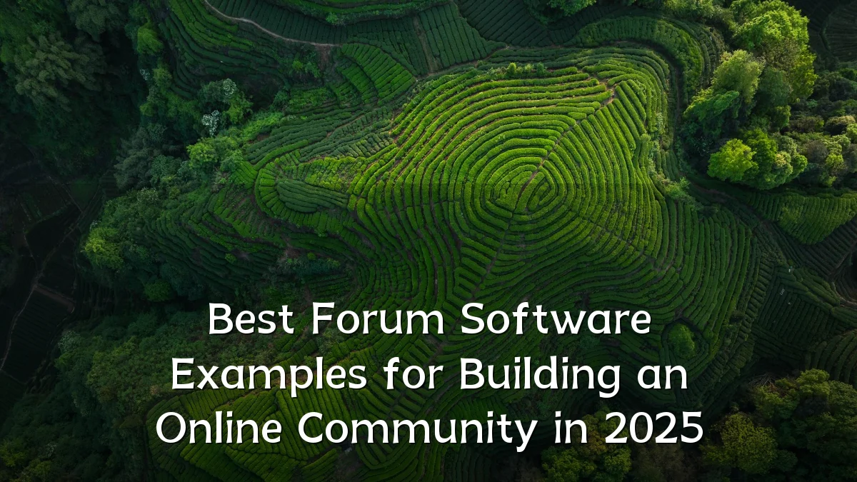Best Forum Software Examples for Building an Online Community in 2025