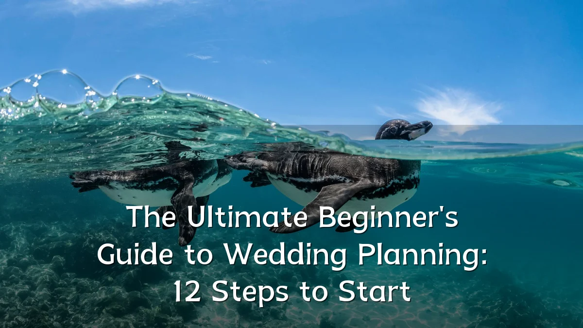 The Ultimate Beginner's Guide to Wedding Planning: 12 Steps to Start