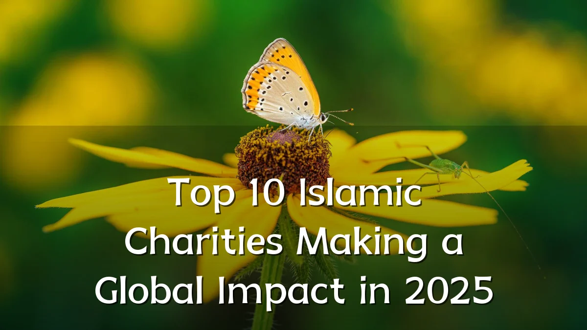 Top 10 Islamic Charities Making a Global Impact in 2025