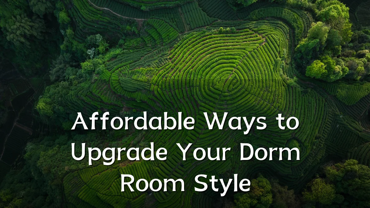 Affordable Ways to Upgrade Your Dorm Room Style