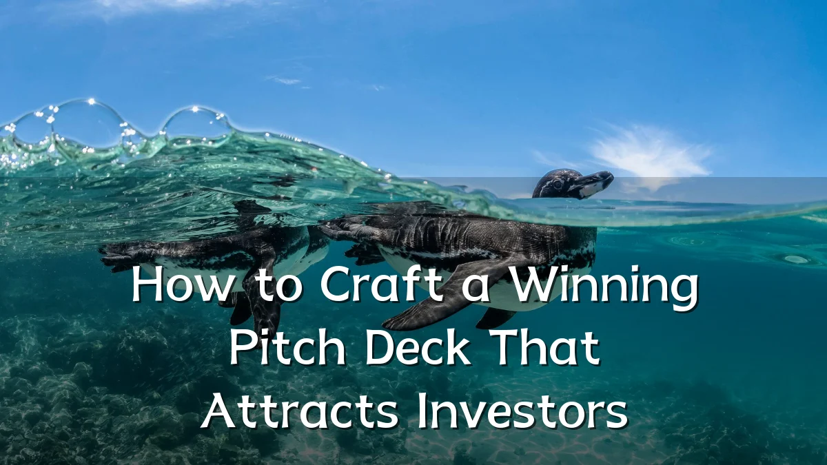 How to Craft a Winning Pitch Deck That Attracts Investors