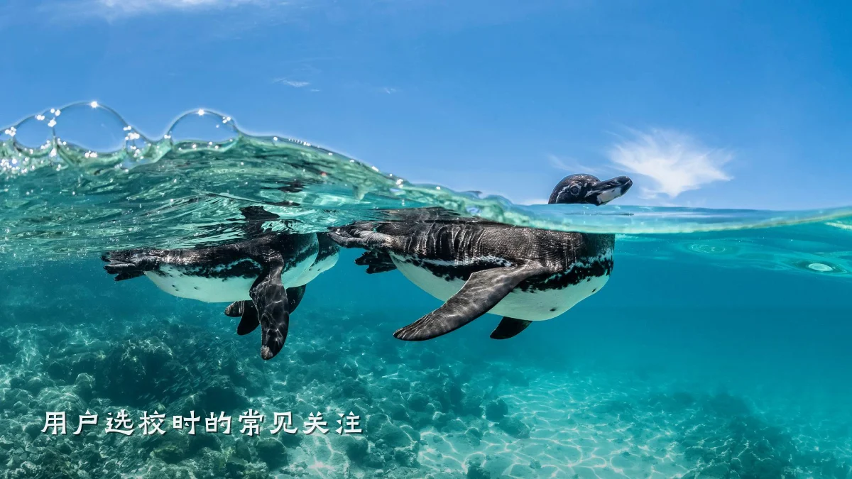 用户选校时的常见关注