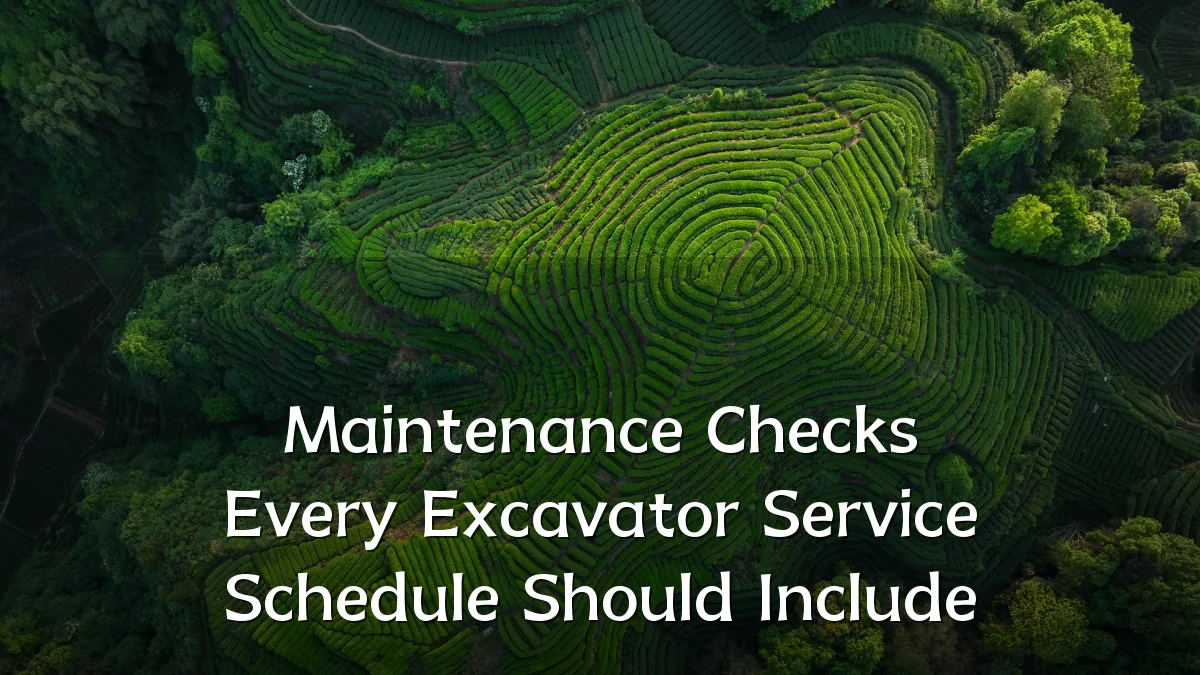 Maintenance Checks Every Excavator Service Schedule Should Include