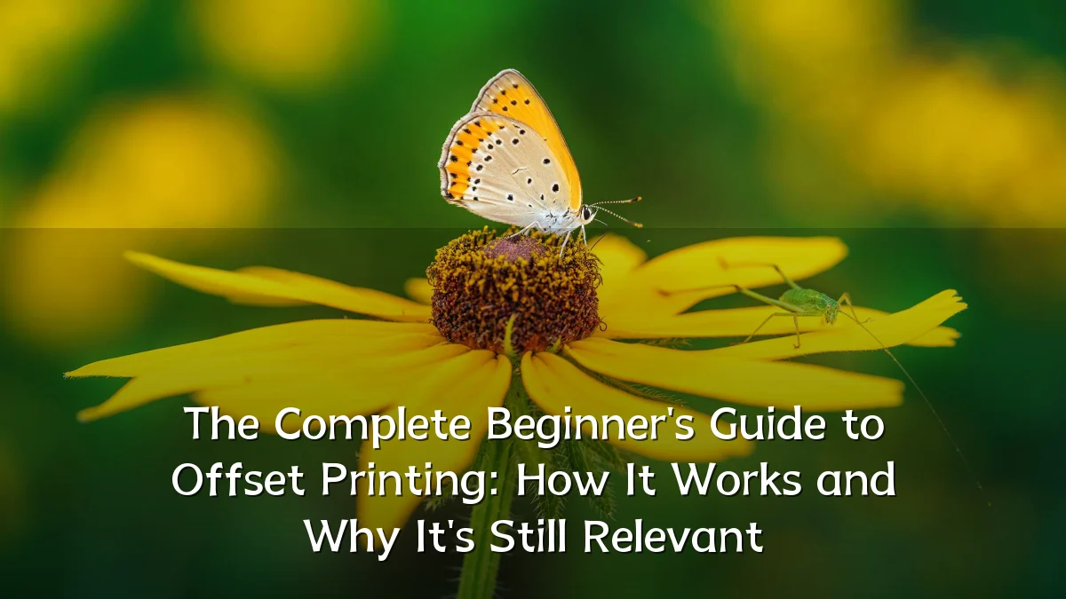 The Complete Beginner's Guide to Offset Printing: How It Works and Why It's Still Relevant