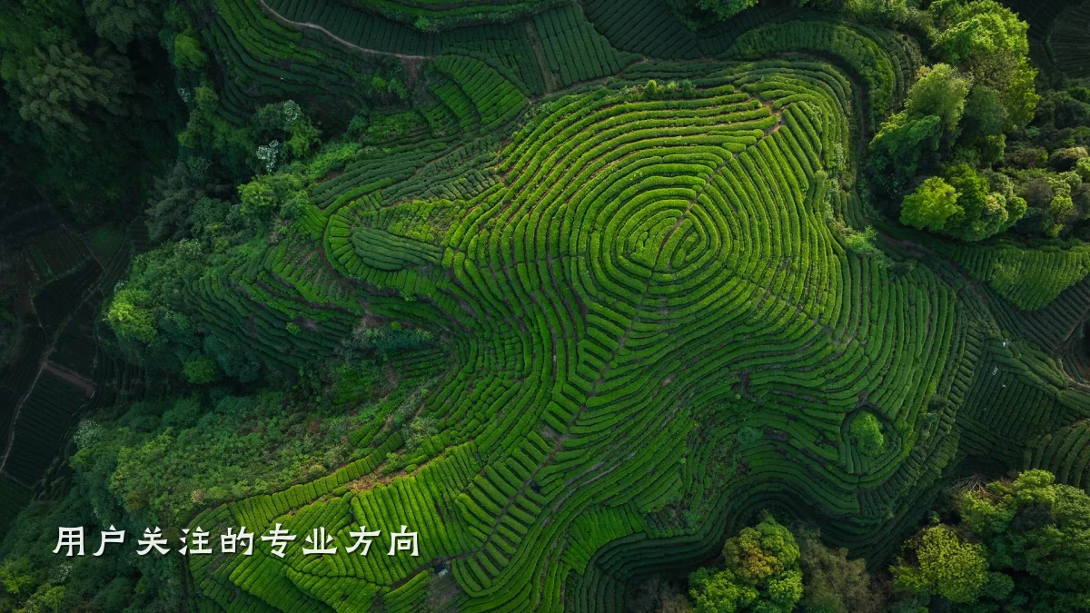 用户关注的专业方向