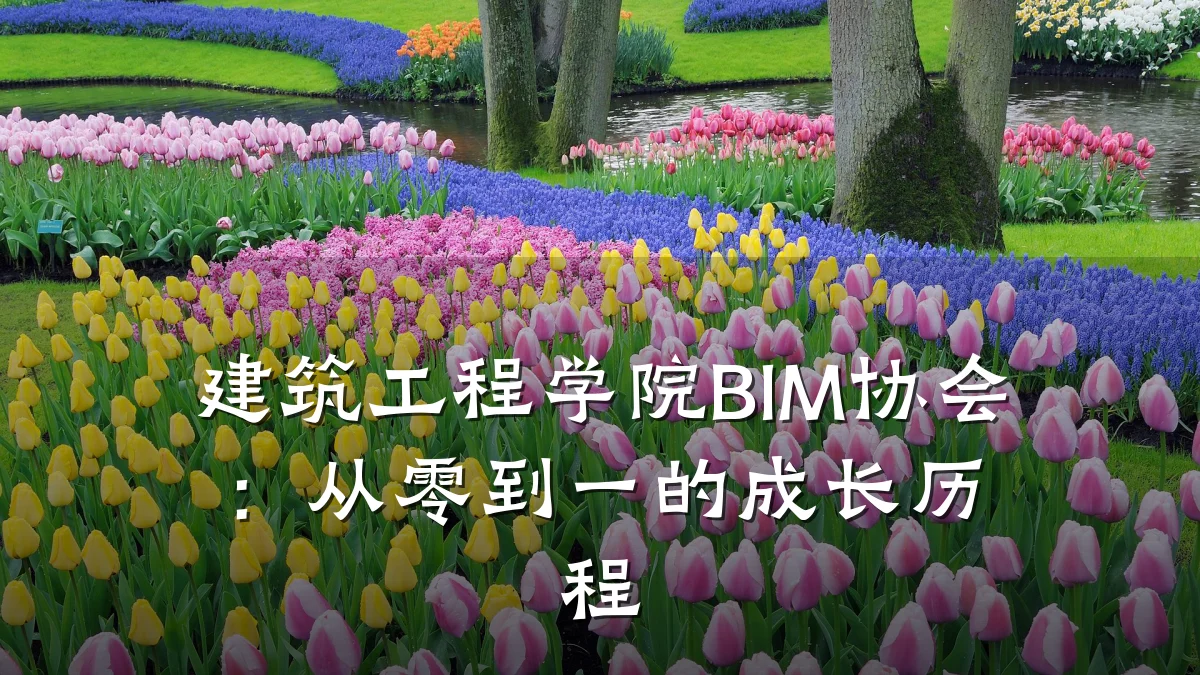 建筑工程学院BIM协会：从零到一的成长历程