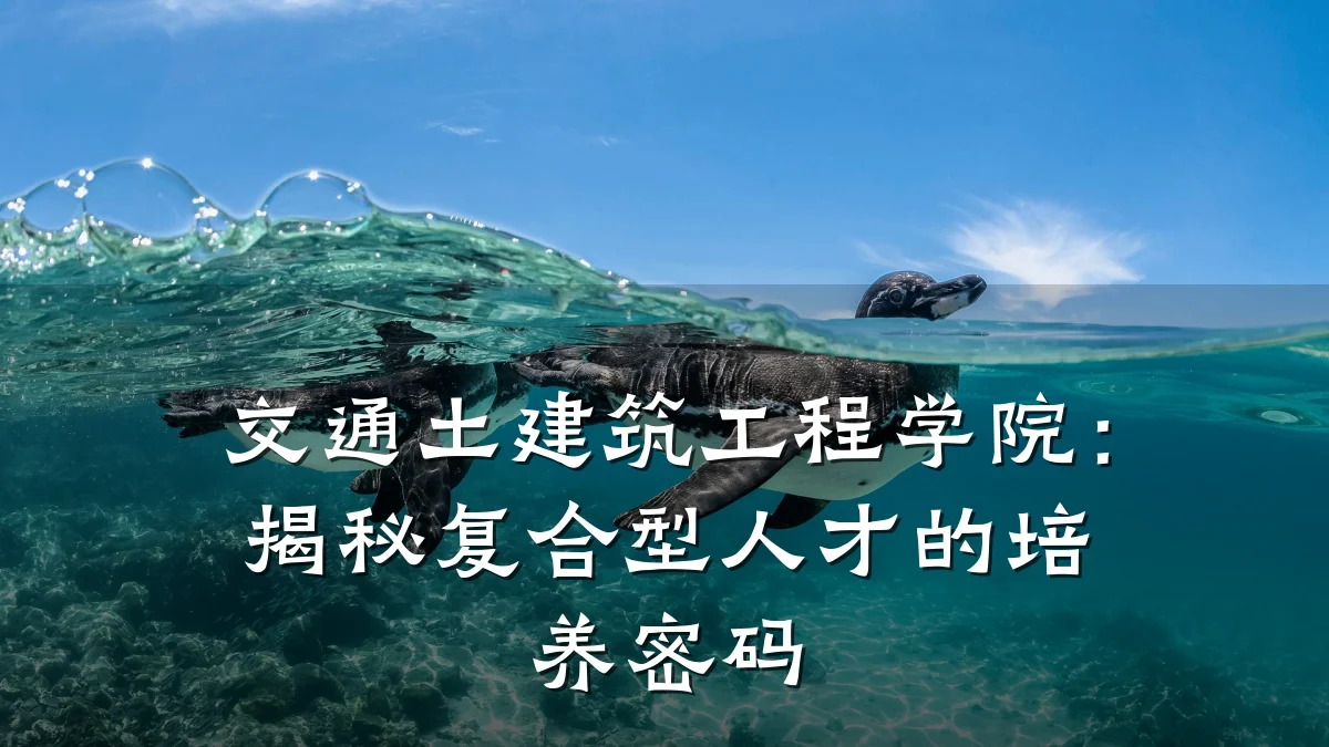 交通土建筑工程学院：揭秘复合型人才的培养密码