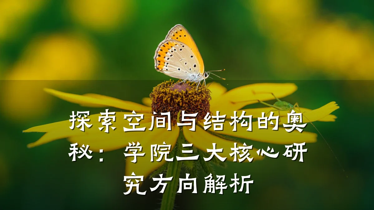 探索空间与结构的奥秘：学院三大核心研究方向解析