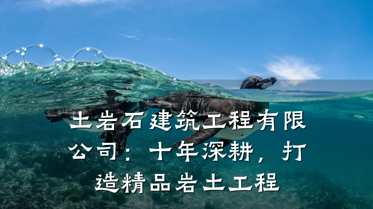 土岩石建筑工程有限公司：十年深耕，打造精品岩土工程