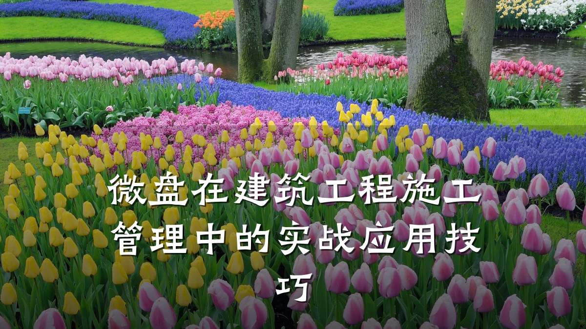 微盘在建筑工程施工管理中的实战应用技巧