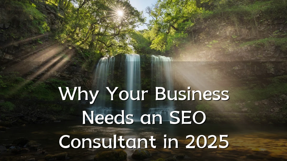 Why Your Business Needs an SEO Consultant in 2025