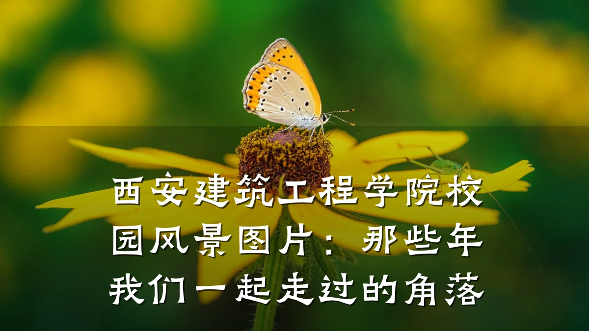 西安建筑工程学院校园风景图片：那些年我们一起走过的角落
