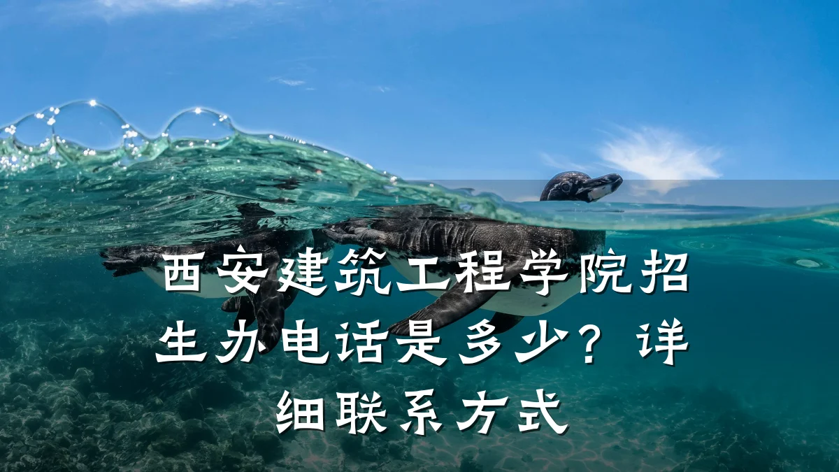 西安建筑工程学院招生办电话是多少？详细联系方式